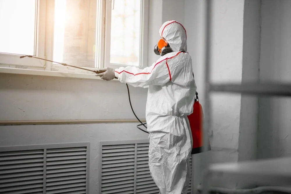 Professional mold remediation services in Granville, WV